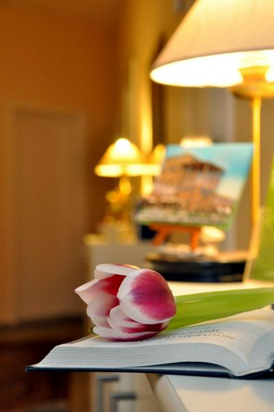 Hotel Apadana Frankfurt