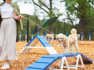 LiVEMAX RESORT Izukogen Annex