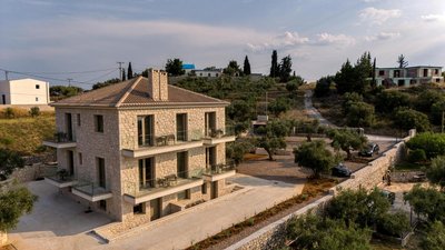 PALELIA living in the olive garden