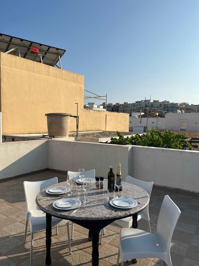Spacious house with roof-terrace