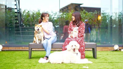 LiVEMAX Resort Izu Kogen Terrace & Spa