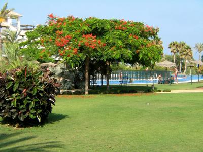 Apartamento VenAVera Playa Jardines de Nuevo Vera L1-1D Primera Línea WIFI
