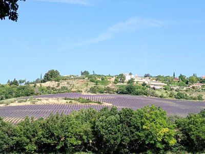 La Bergerie en Provence