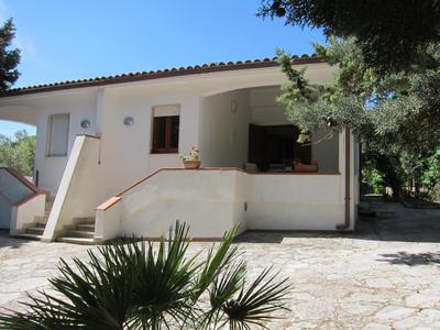 Palms Villa