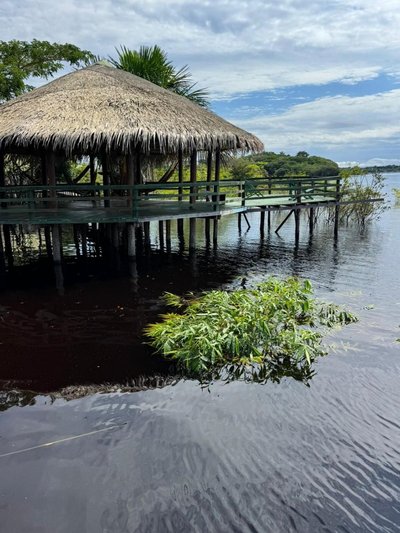 Amazônia LODGE Exxperience