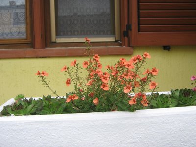 Apartment Meridiana