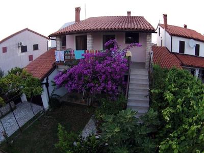 House Ivica