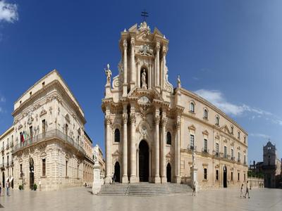 Rosa di Ortigia