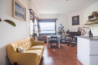 Cat lovers home