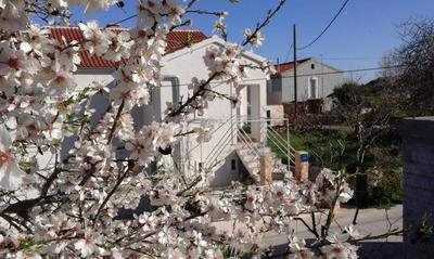 Apartment Ruza