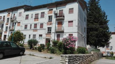 Il Tulipano