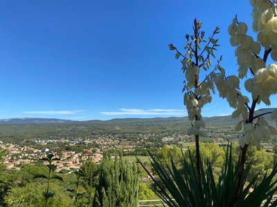 Panorea Garden