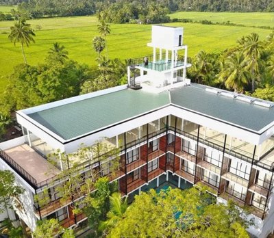 Rain Tree by Oak Ray