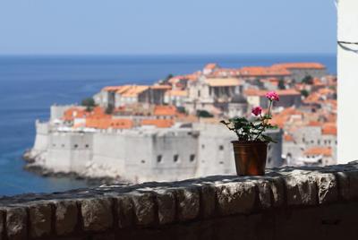 Apartment Amazing View Old Town