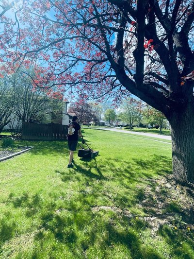 Cozy Loft in Amherst NY No Pet