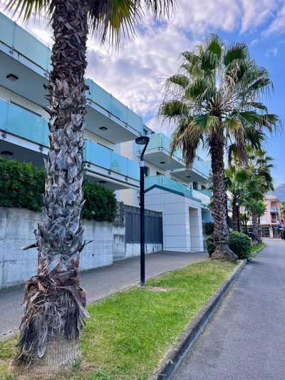 Palm Grove House con terrazzo e box privato