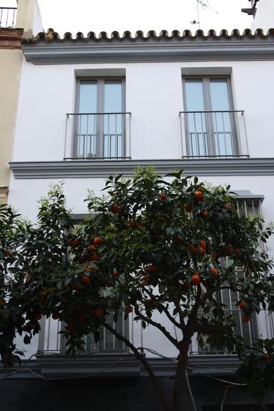 Ritual Sevilla Suites - Malaver 23