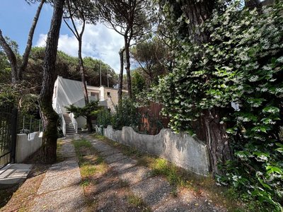 Cozy apartment in the heart of the pinewood