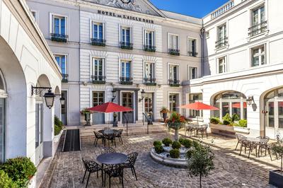 Aigle Noir Hotel Fontainebleau - MGallery Collection