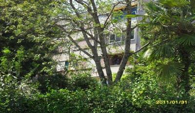 Apartman-studio Adriana 3