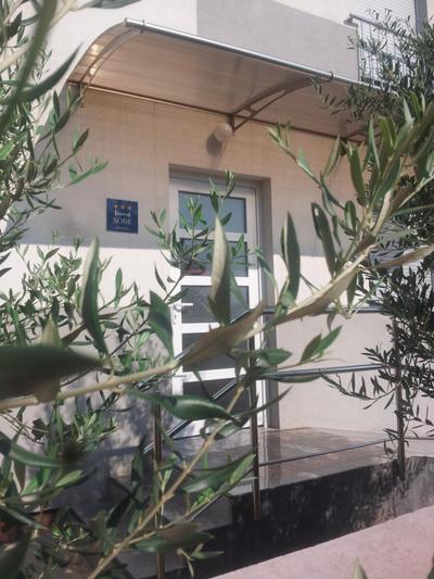 Guest House Maritimo