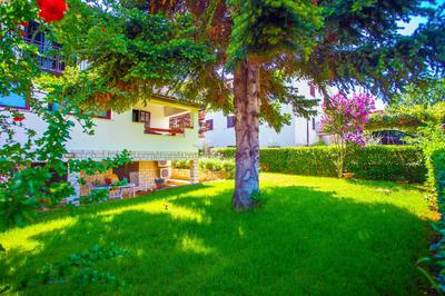 Apartment Pinia