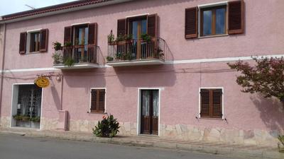 Canne Al Vento