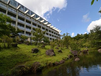 TAOYA Nikko Kirifuri, Billede 2