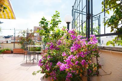 Roma Suite Balduina