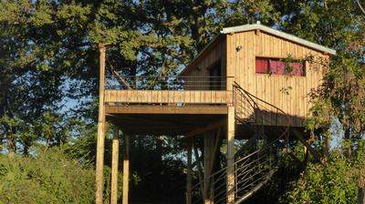 La cabane perchée du faucon