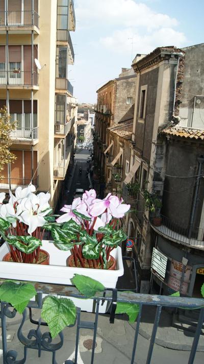 Sicily Home Center