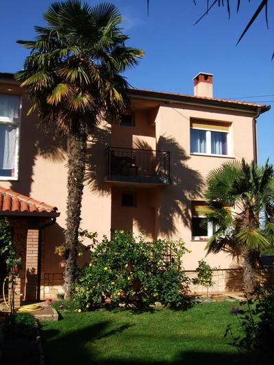 Margerita Apartment & Studio