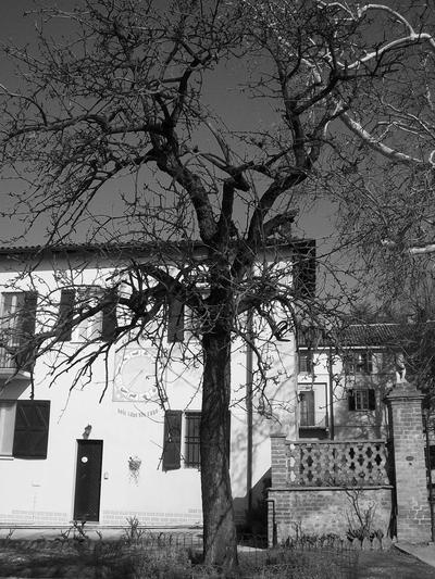 Tenuta San Rocco