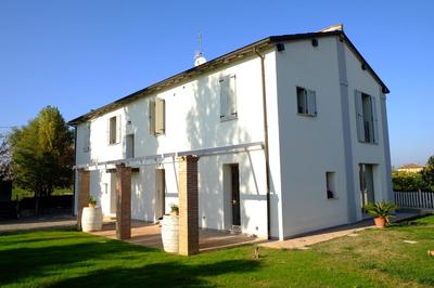 il leccio