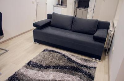 Apartments Petrova170