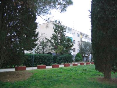 Apartment Oliva with sea view