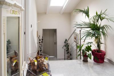 Pepe's Home B&B
