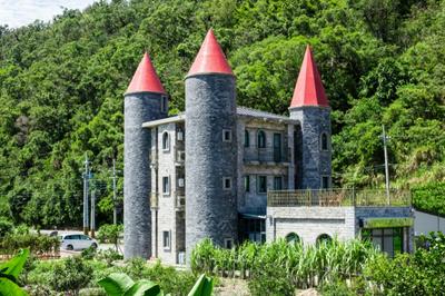 Zum Adler Castle B&B