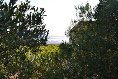 Casa nel Vigneto Erice