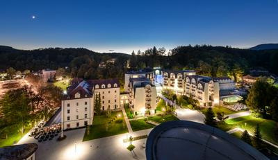 Grand Hotel Sava Superior