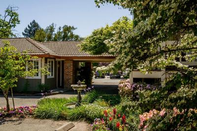 The Jack London Lodge, Billede 2
