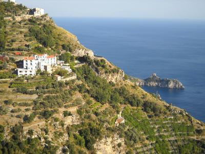 Le Cicale - Apartments