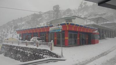 Himalaya View, Dhanaulti