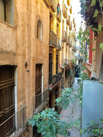 Calma House Barcelona