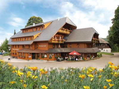 Naturparkhotel Schwarzwaldhus, Billede 2