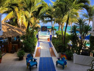Blue Tang Inn - Beachfront Suites and Pool