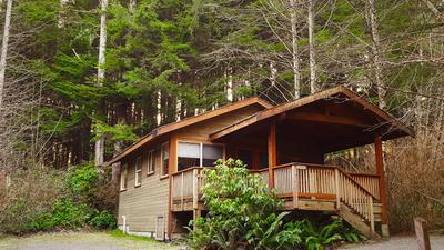 Evergreen Forest Cabins