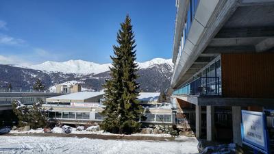 Apartment Ski Marilleva 1400