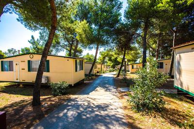 Arena Indije Mobile Homes