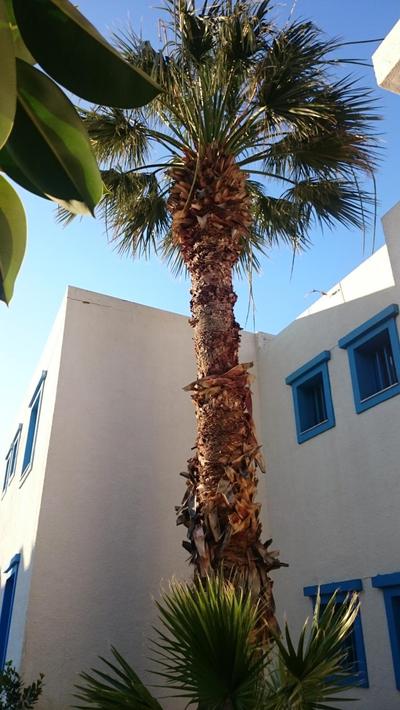 Amazones Villas Apartments